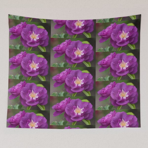 Item preview, 'Rhapsody In Blue' Rose designed and sold by Yair Karelic.