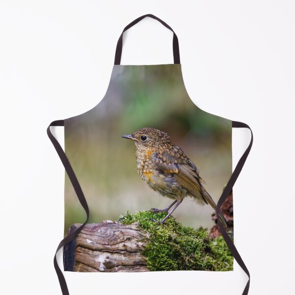 Item preview, Juvenile Robin designed and sold by Graham Prentice.