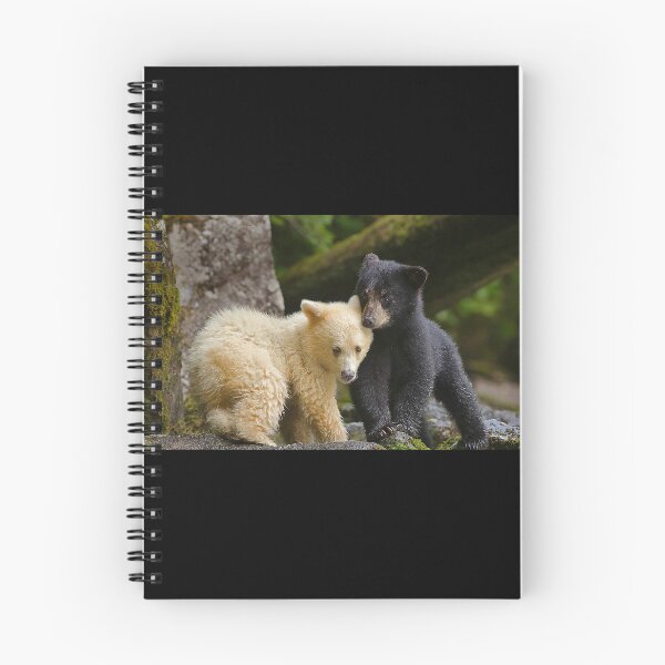 Artikelvorschau, Kermode Spirit Bear Cubs entworfen und verkauft von ForestBaer.