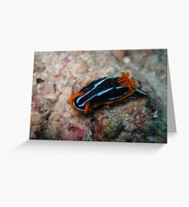 Nudi at Straddie Greeting Card