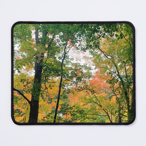 Item preview, Fall woods with maple leaves designed and sold by MiaoMiaoYu.