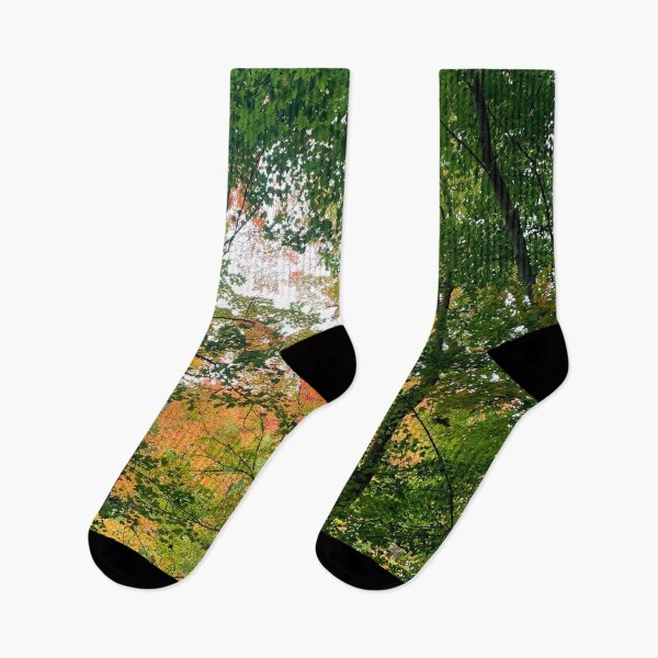 Item preview, Fall woods with maple leaves designed and sold by MiaoMiaoYu.