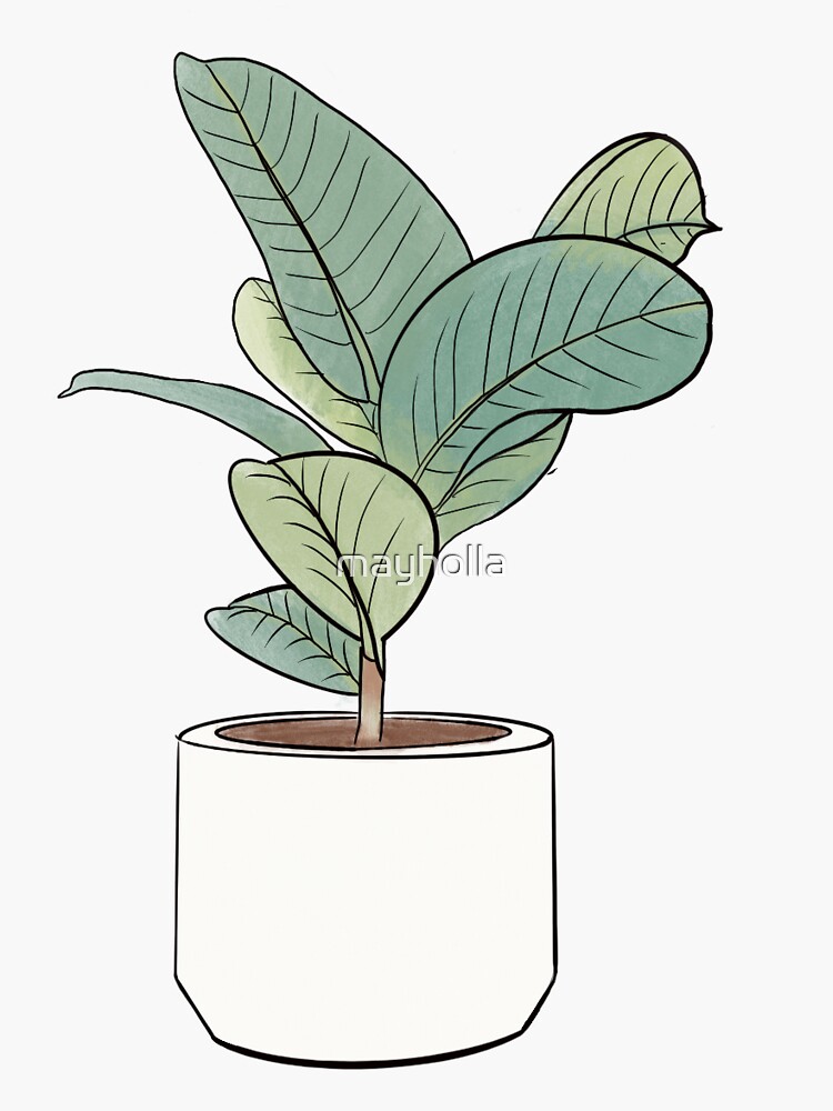 Rubber Tree Sticker by Sunshine-Arts, Redbubble