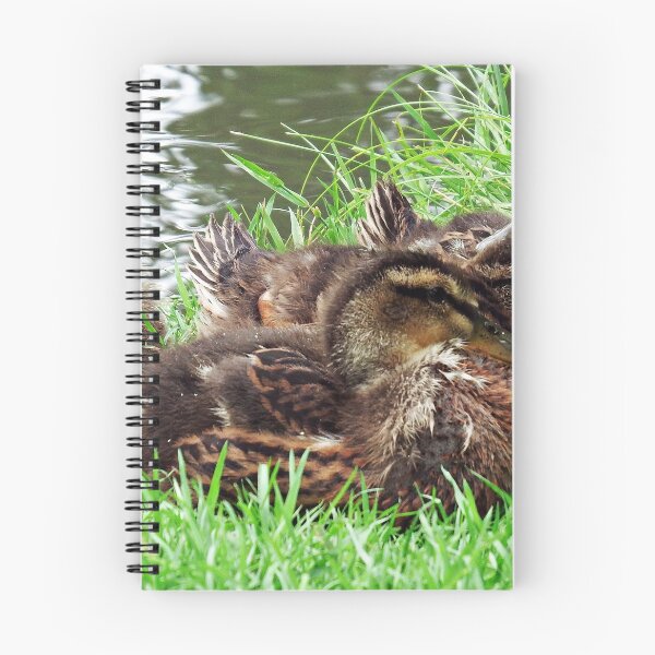 Item preview, " Snooze Time" designed and sold by mrcoradour.