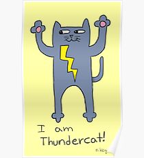 Thundercat Poster