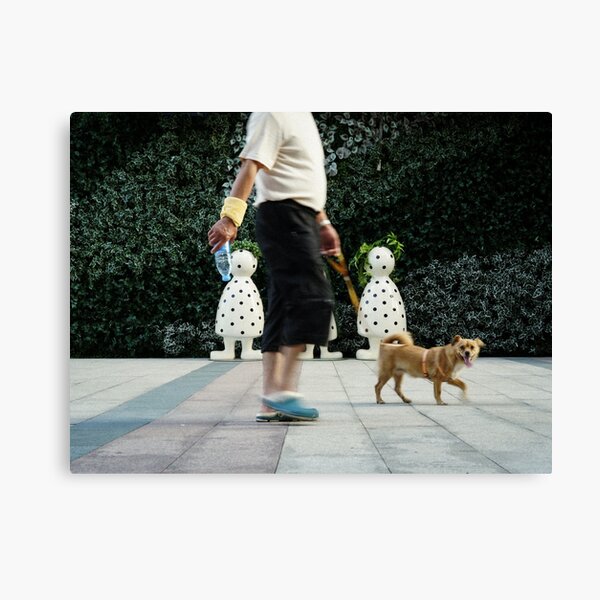 Dog day in Shangahai Canvas Print