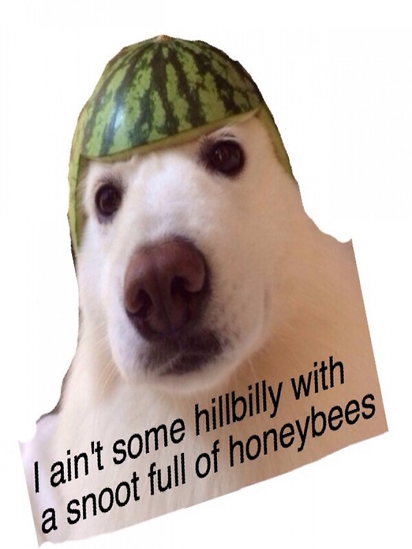 "Watermelon Hat Dog" Posters by Bubblinesos Redbubble