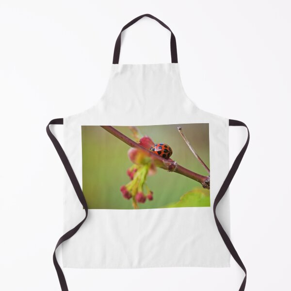 Item preview, Labybug Climbing designed and sold by D-GaP.