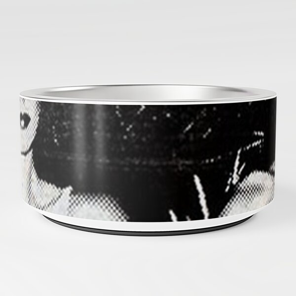 Roxy New Album Country Life Pet Bowl