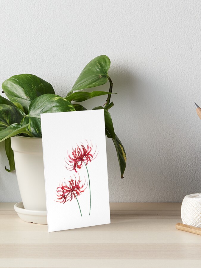 Lycoris Recoil Red Spider Lily White | Art Board Print