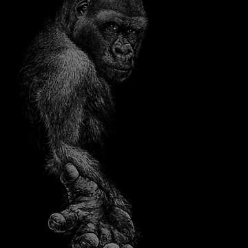 Artwork thumbnail, GREAT APE by Roland Straller