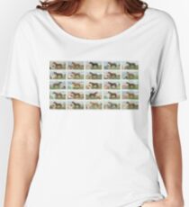 Set of 25 Famous racehorses Women's Relaxed Fit T-Shirt