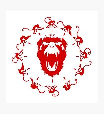 Army of the 12 Monkeys Photographic Print