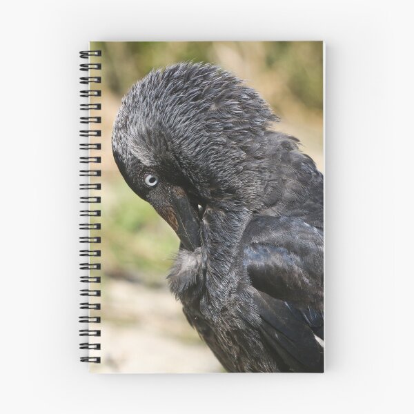 Item preview, Preening designed and sold by GreyFeatherPhot.