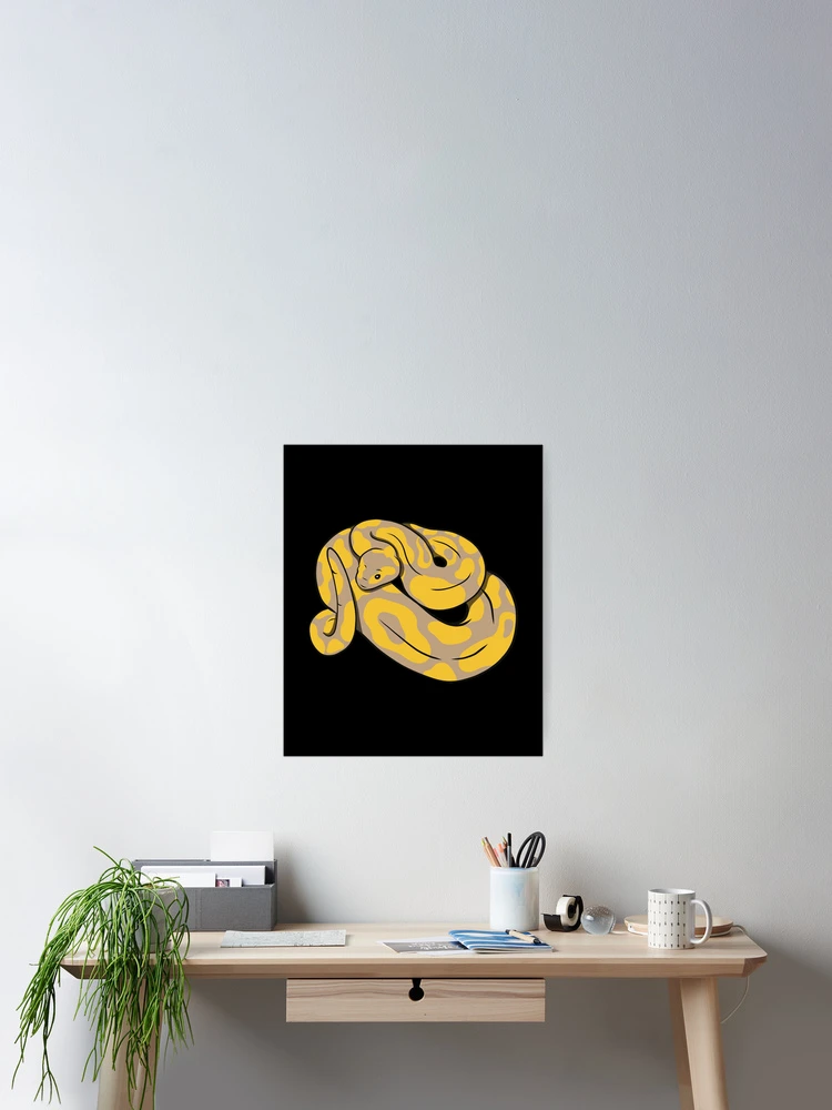 Thumbnail 2 of 3, Poster, Ball Python, Burmese Python designed and sold by DerSenat.