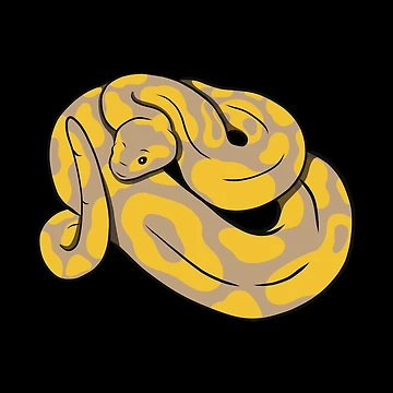 Artwork thumbnail, Ball Python, Burmese Python by DerSenat