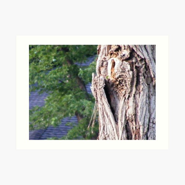 the heart in the tree Art Print