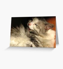 Dry cleaning Greeting Card