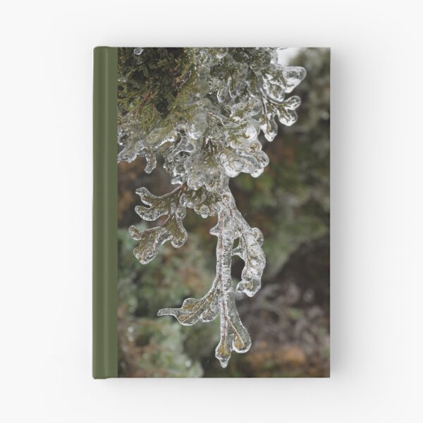 Item preview, Mother Natures Christmas Decorations - Cypress Branches designed and sold by Georgia Mizuleva.
