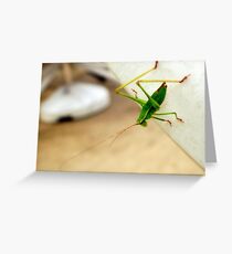 Little Green Bug Greeting Card