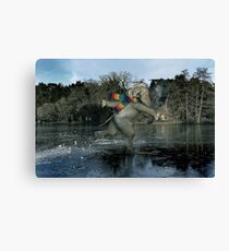 Thin Ice Canvas Print
