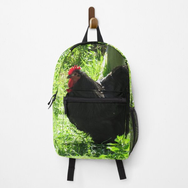Item preview, Black Orpington chicken designed and sold by greentiger1.
