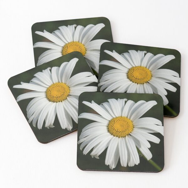 Item preview, Just a Daisy - Simply Beautiful designed and sold by Georgia Mizuleva.