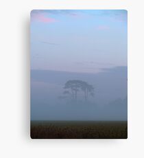 Sunrise 2 14-07-08 Canvas Print