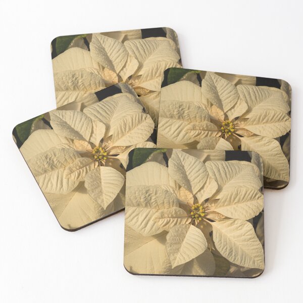 Item preview, Elegant Ivory Poinsettia - An Exotic Christmas Greeting designed and sold by Georgia Mizuleva.