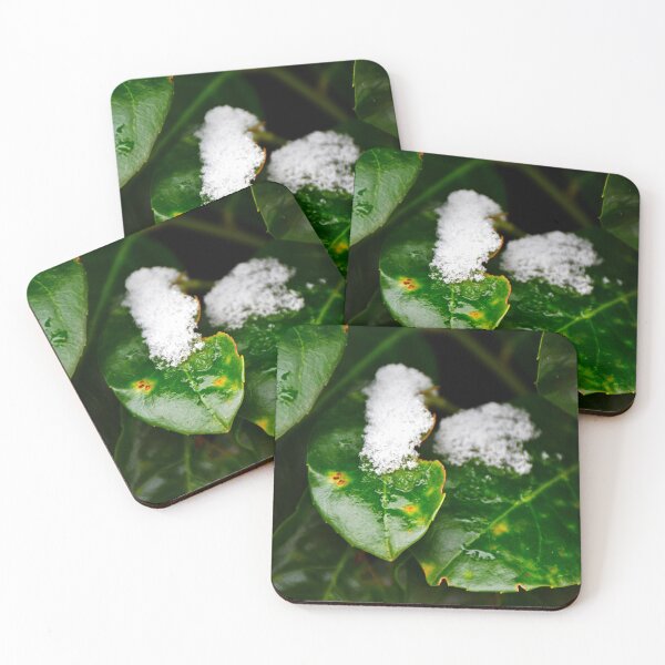 Item preview, green leaves in the snow | nature photography designed and sold by Mii-pics.