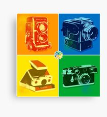 Love Analogue | Love Colour | Love Life Canvas Print