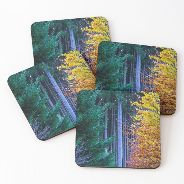 Item preview, Transition summer to autumn | nature photography designed and sold by Mii-pics.