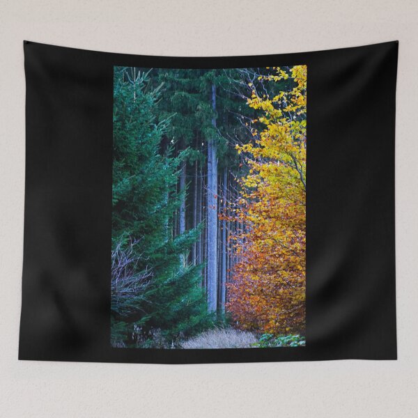 Item preview, Transition summer to autumn | nature photography designed and sold by Mii-pics.