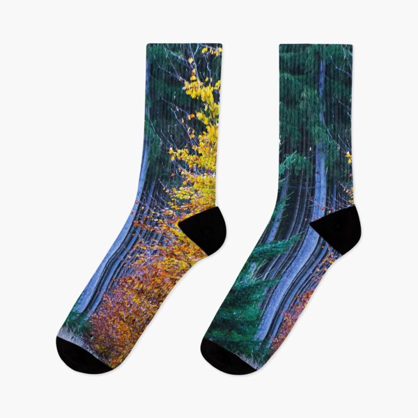 Item preview, Transition summer to autumn | nature photography designed and sold by Mii-pics.