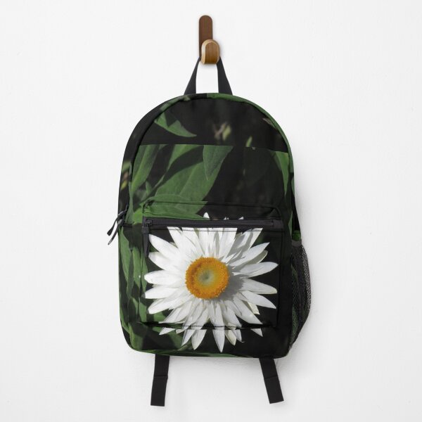 Item preview, White everlasting daisy designed and sold by greentiger1.
