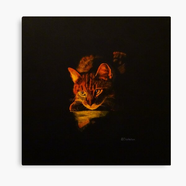 Illuminated Cat Canvas Print