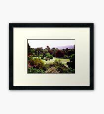 Bantry House gardens Framed Print