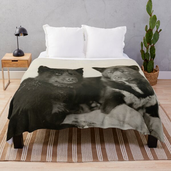 Item preview, Schipperke dogs - the best breed designed and sold by Night-parade.