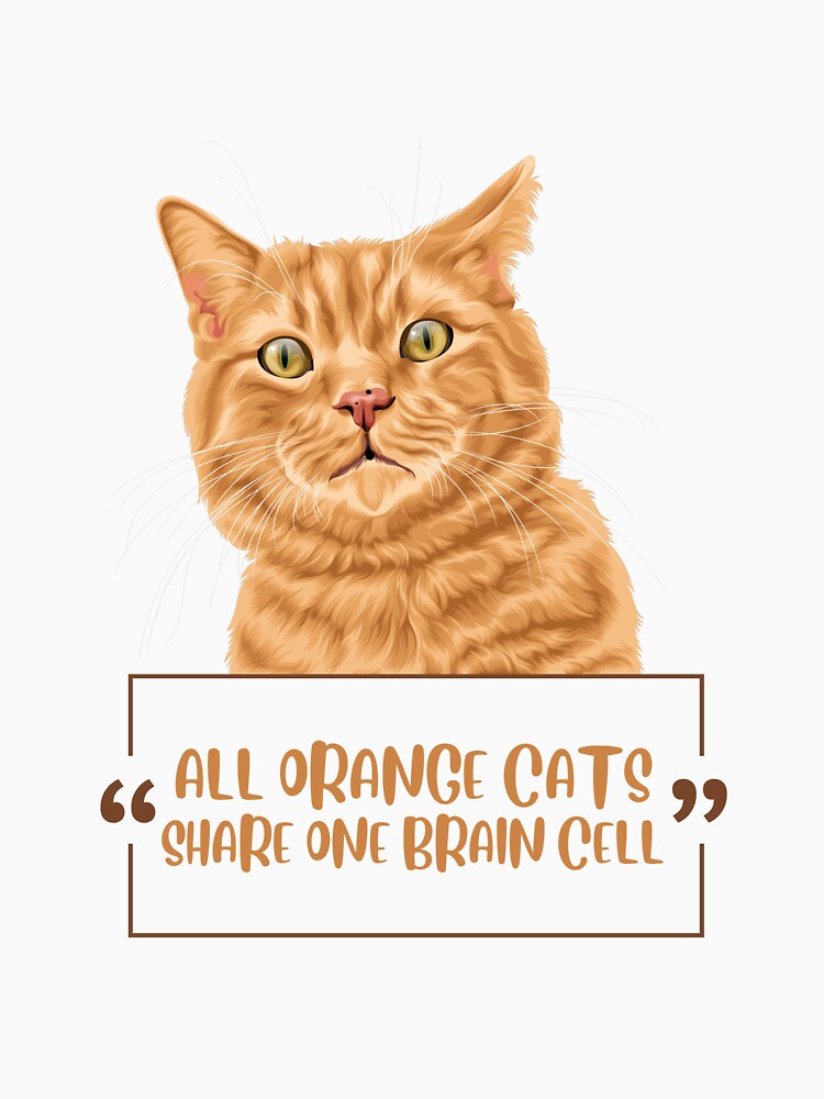 Funny Cat Adoption Names Cat Names Are Most Orange Cats Male Are