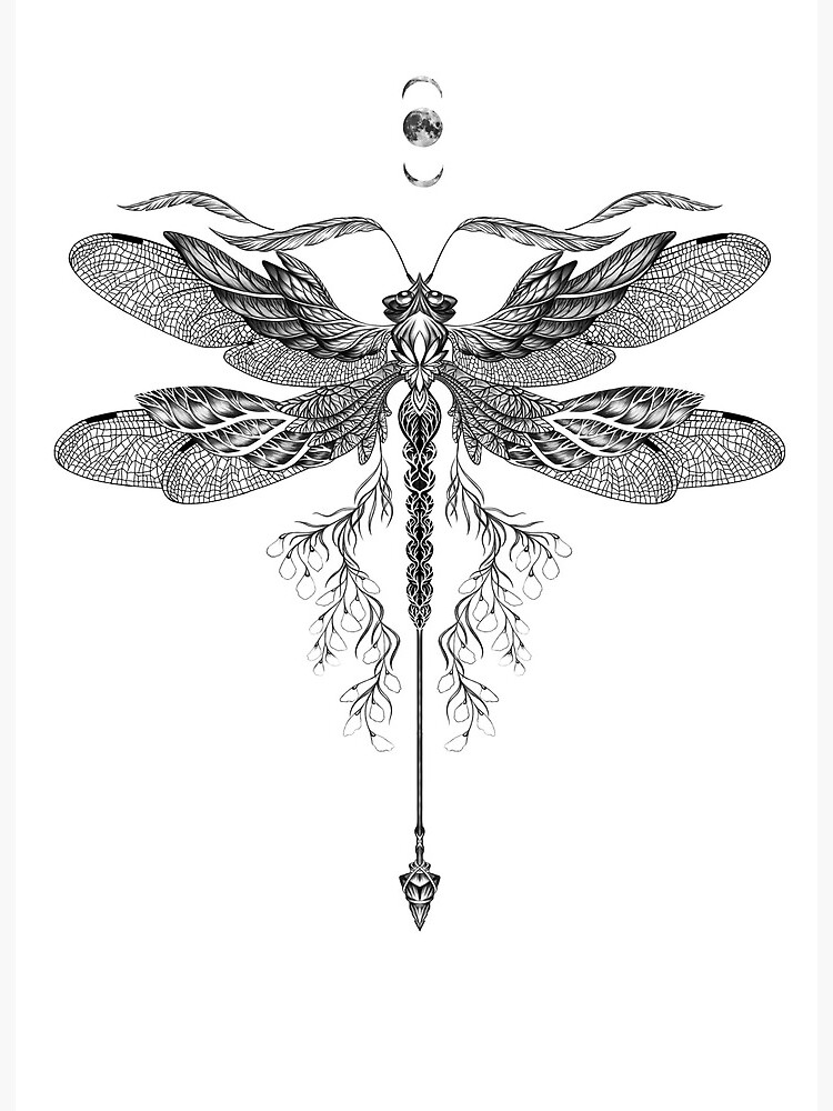 Dragonfly tattoo by Alessandro Capozzi  Post 23479