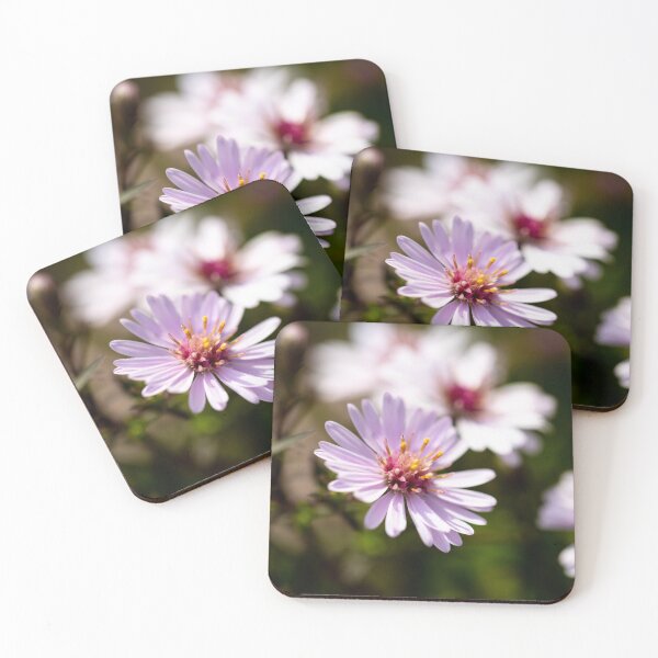 Item preview, Little Aster designed and sold by Tanya C  Smith.