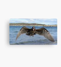 GET OUT OF MY WAY Canvas Print