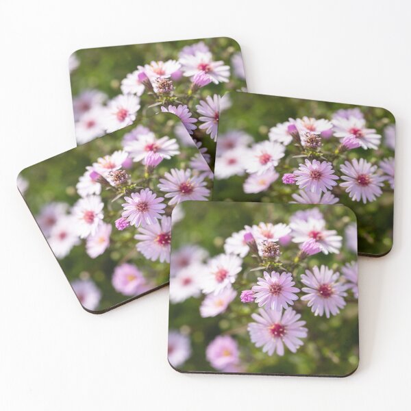Aperçu de l'œuvre Petits asters créée et vendue par Tanya C  Smith.