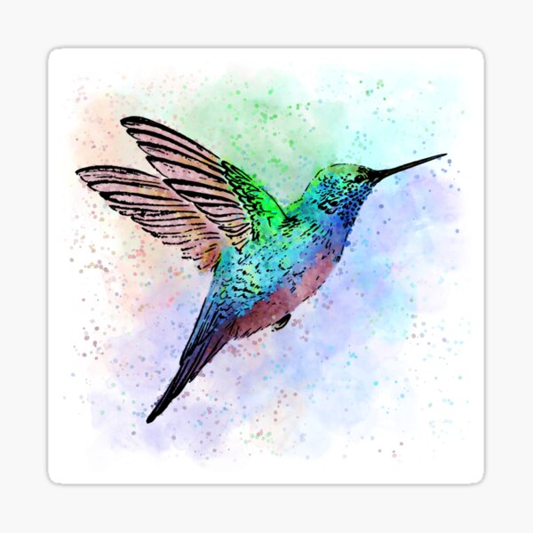 Humming Bird Sticker