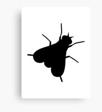 Fly Insect Canvas Print