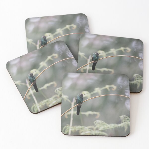 Item preview, Hummingbird at the Branch | Colibri Bird Cuba designed and sold by PhotosByVille.