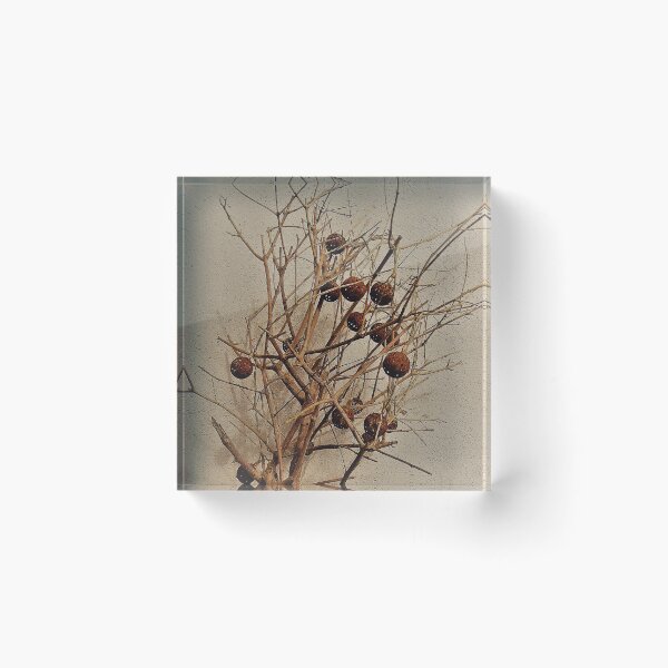 Item preview, Rusted Baubles On A Branch designed and sold by Fara.