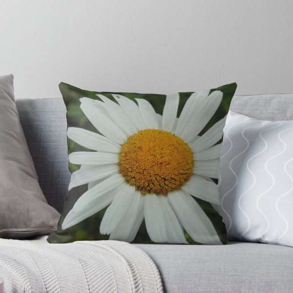 Aperçu de l'œuvre Daisy Photograph créée et vendue par Dotti Hannum.
