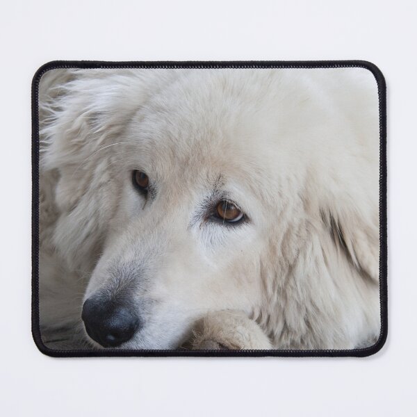 Item preview, Winery Dog Maremma designed and sold by Ekaterina Strounina.