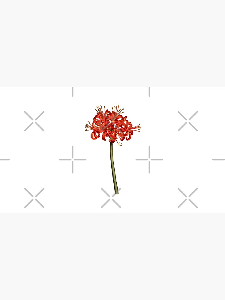 "Red Spider Lily Lycoris Recoil Anime Fanart Lycoris Radiata Death ...